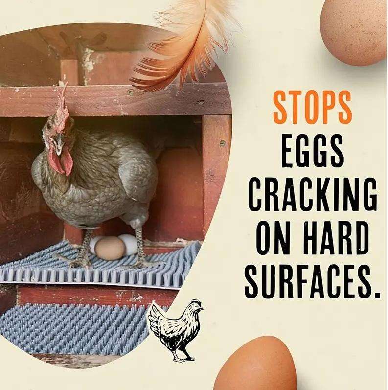 Chicken Nesting Matresses-Pack of 5