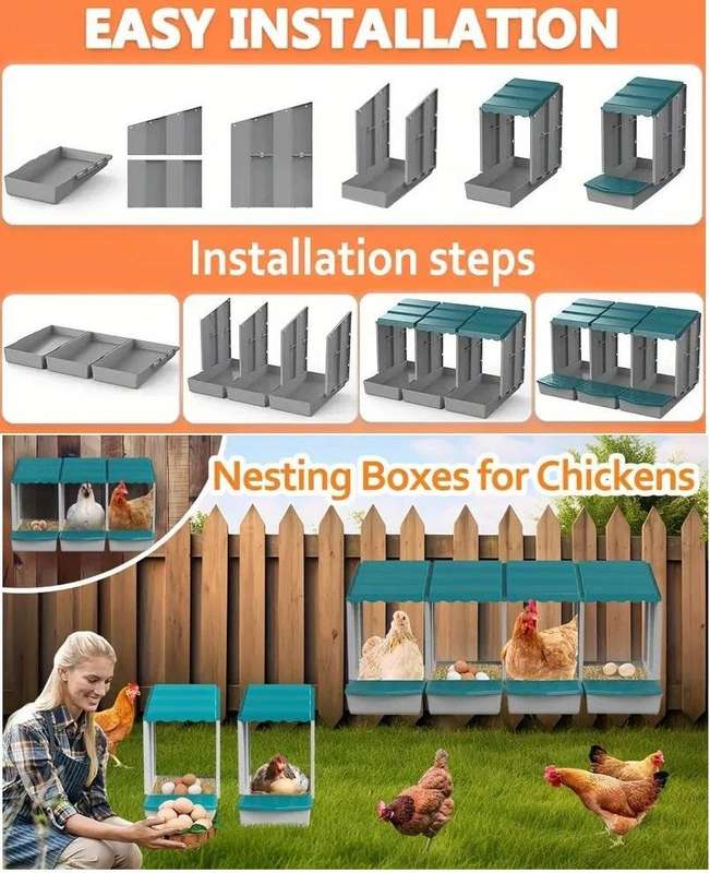 Chicken Nesting Boxes with 3 Compartments
