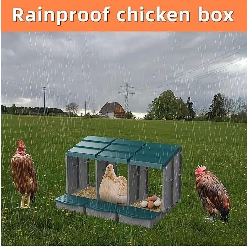 Chicken Nesting Boxes with 3 Compartments