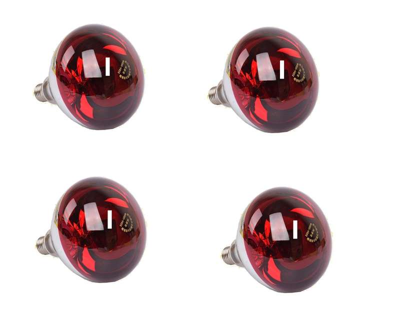 Heat Lights 250 watts -Pack of 4