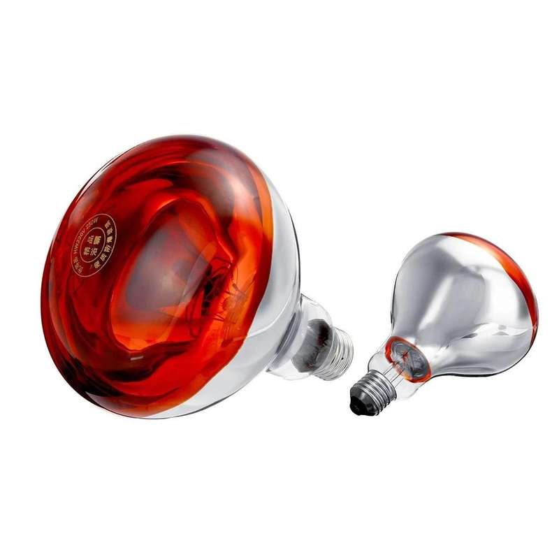 Heat Lights 250 watts -Pack of 4
