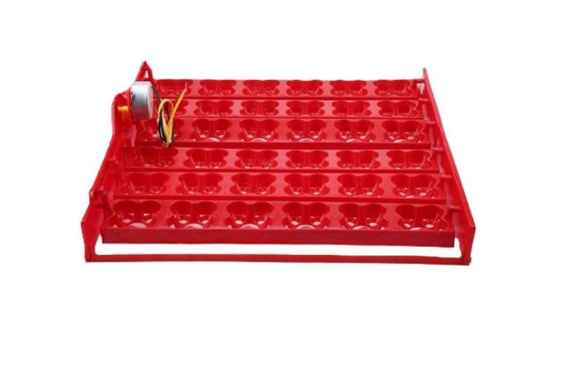 Egg Tray for Chicken or Quail Eggs with 220-volt Motor