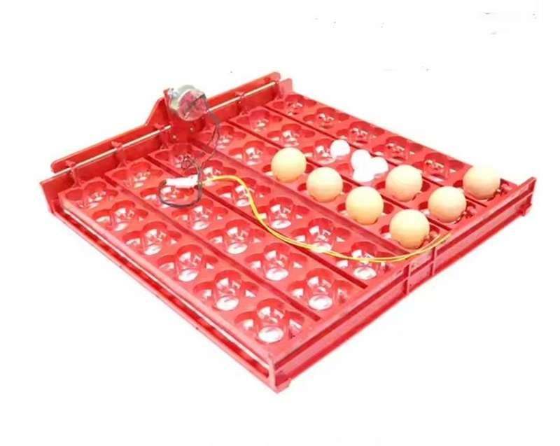 Egg Tray for Chicken or Quail Eggs with 220-volt Motor