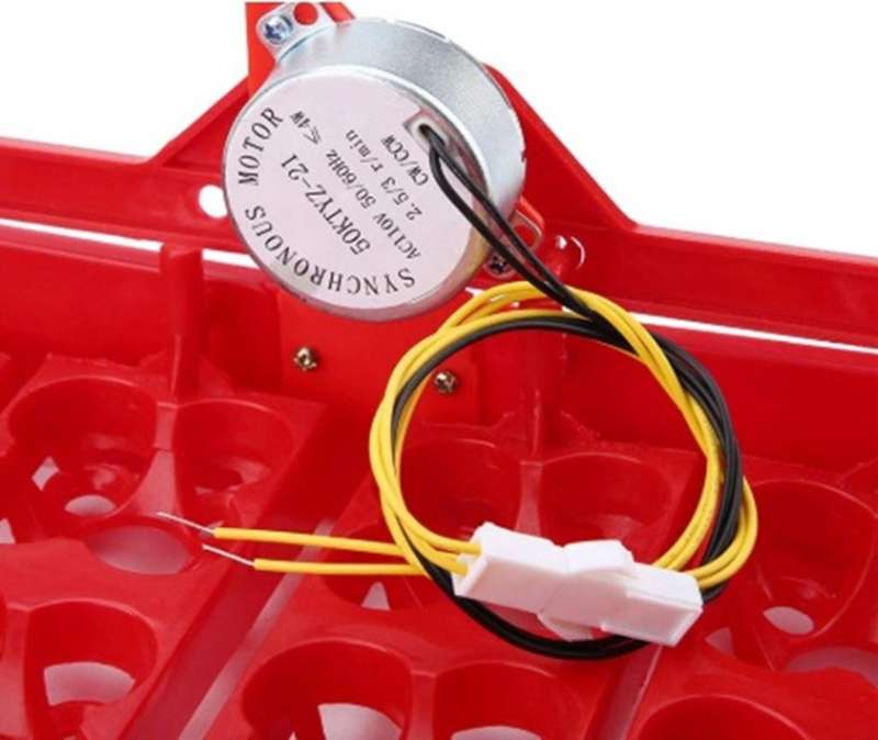 Egg Tray for Chicken or Quail Eggs with 220-volt Motor
