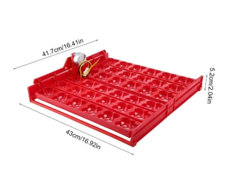 Egg Tray for Chicken or Quail Eggs with 220-volt Motor