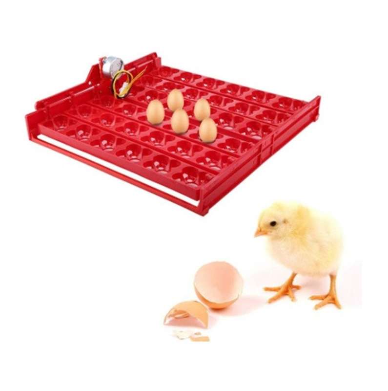 Egg Tray for Chicken or Quail Eggs with 220-volt Motor