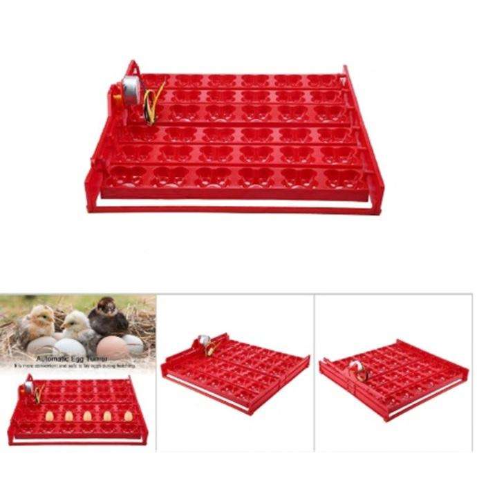 Egg Tray for Chicken or Quail Eggs with 220-volt Motor