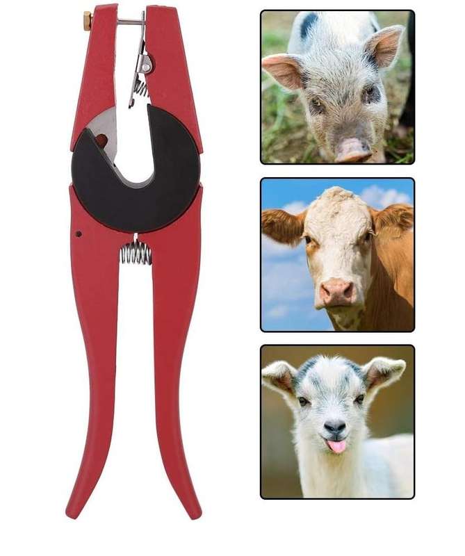 Ear Tag Applicator