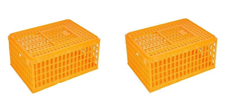 Crates for Chickens -2 Pack