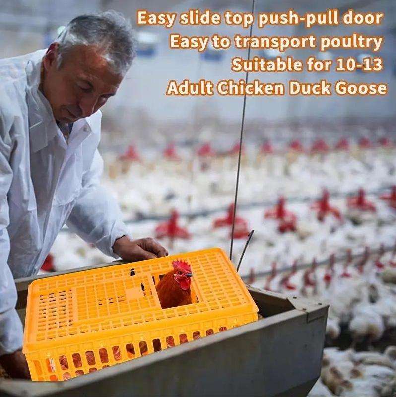 Crates for Chickens -2 Pack