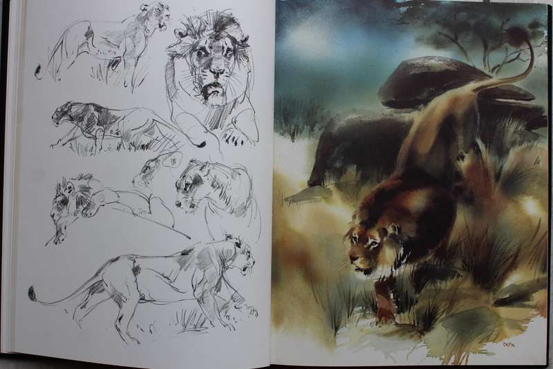 SIGNED: Wildlife Impressions - Wolfgang Weber