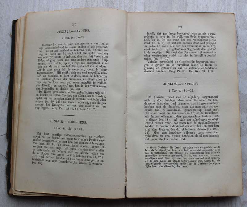 1880 Bijbelsch Dagboek - Du Toit / Paarl