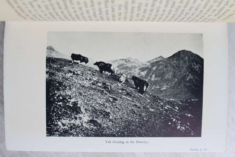 Wilderness Trails in three Continents - Lionel Leslie