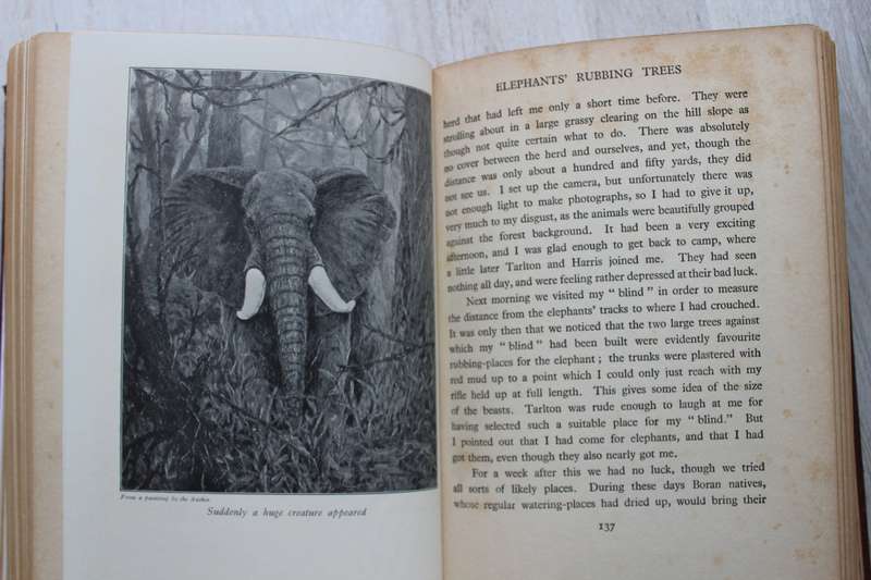 The Wonderland of Big Game - Dugmore