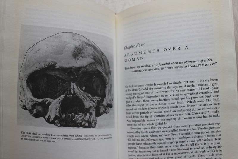 The Neandertal Enigma : Solving the Mystery of Modern Human Origins / Shreeve