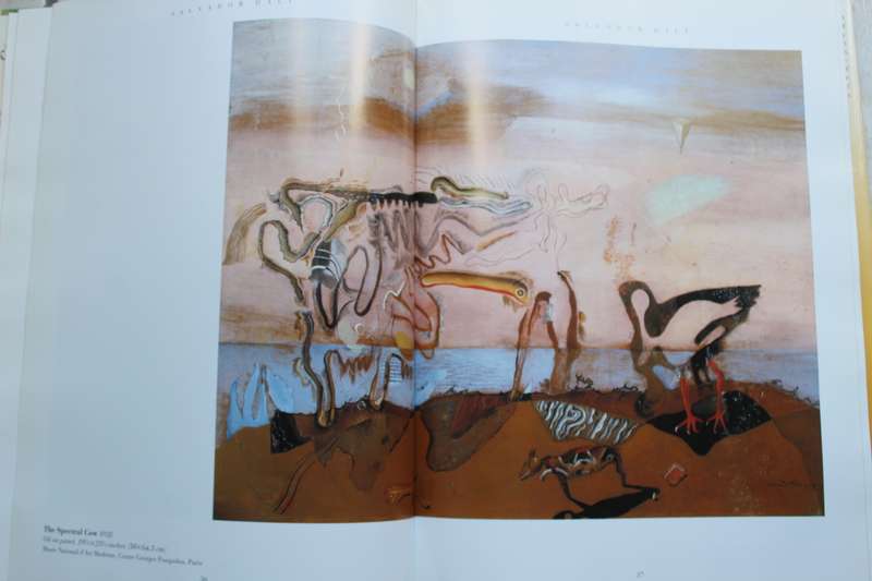 Salvador Dali by Jessica Hodge