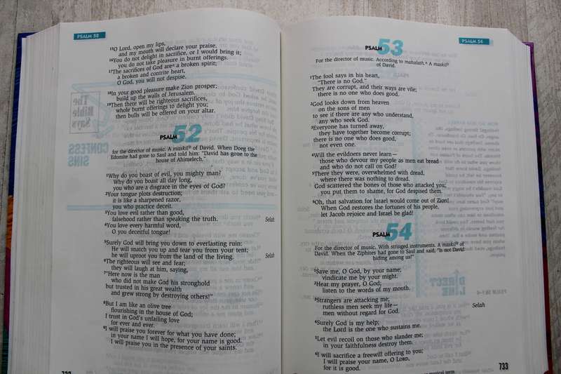 The Teen Study Bible - New International Version