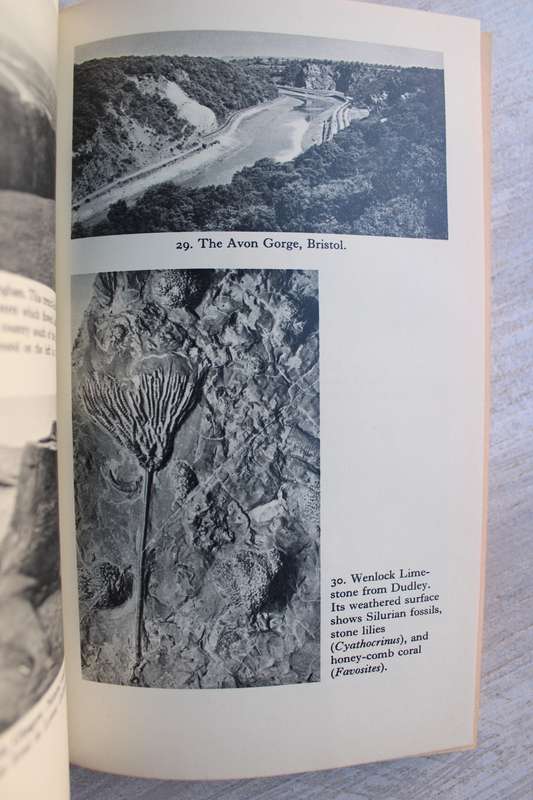 The Earth beneath us - Swinnerton