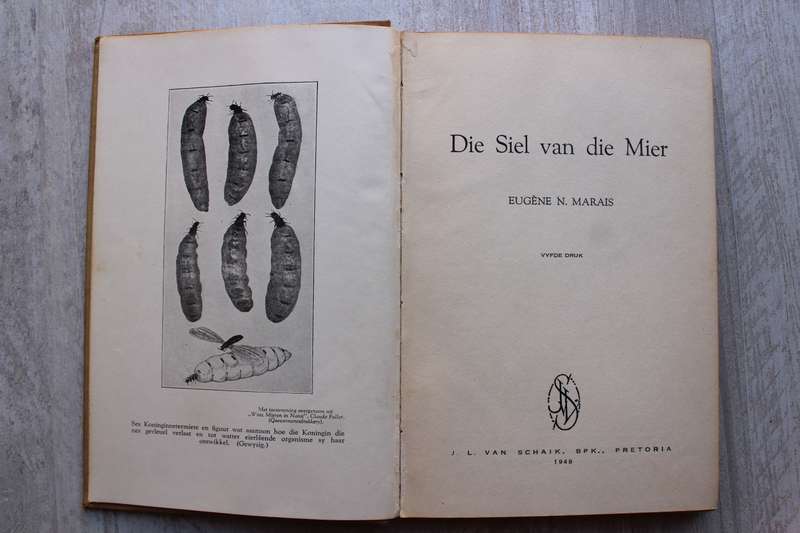 DIE SIEL VAN DIE MIER - Eugene M Marais