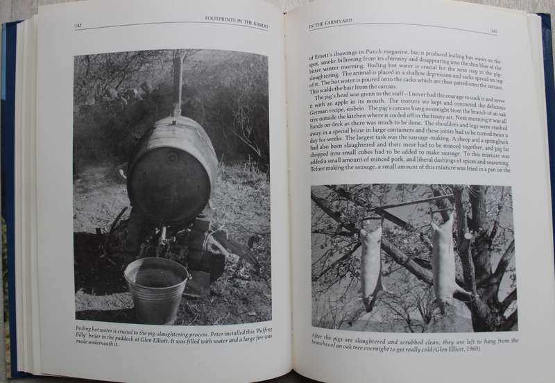 Footprints in the Karoo: A Story of Farming Life - Joan Southey