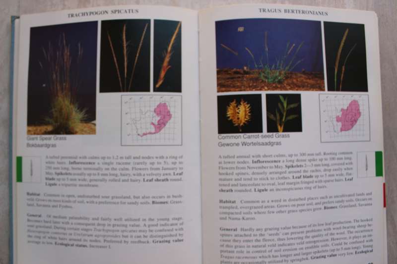 Guide to Grasses of South Africa - Frits van Oudtshoorn