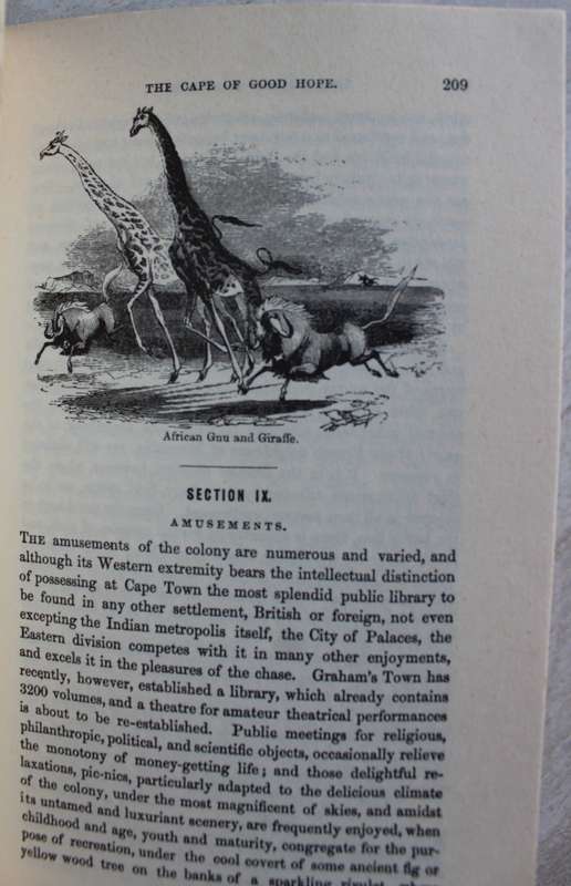 The Cape of Good Hope and the Eastern Province of Algoa Bay / John Centlivres Chase