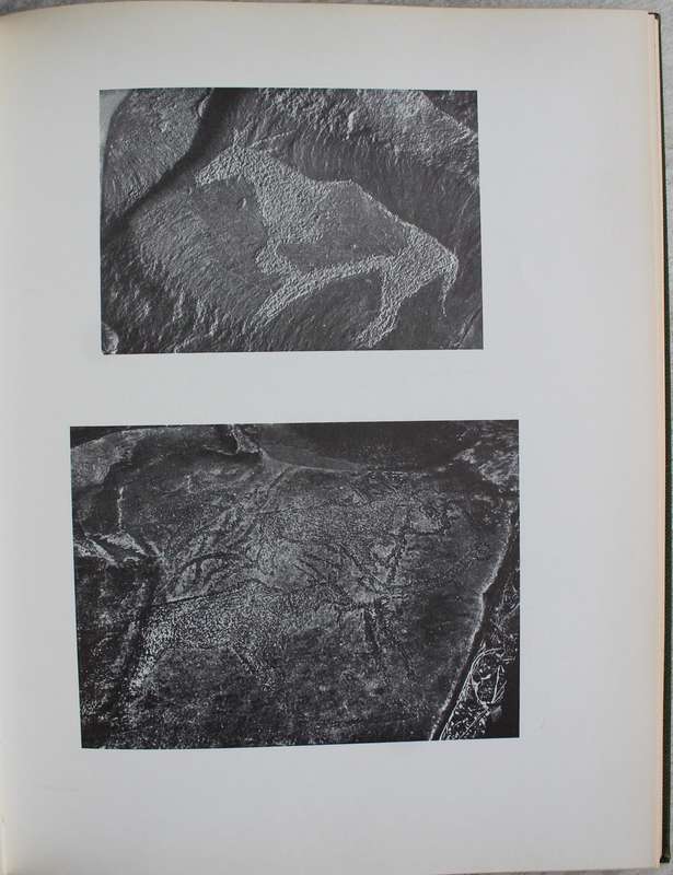THE ROCK ENGRAVINGS OF GRIQUALAND AND BECHUANALAND South Africa  - MARIA WILMAN