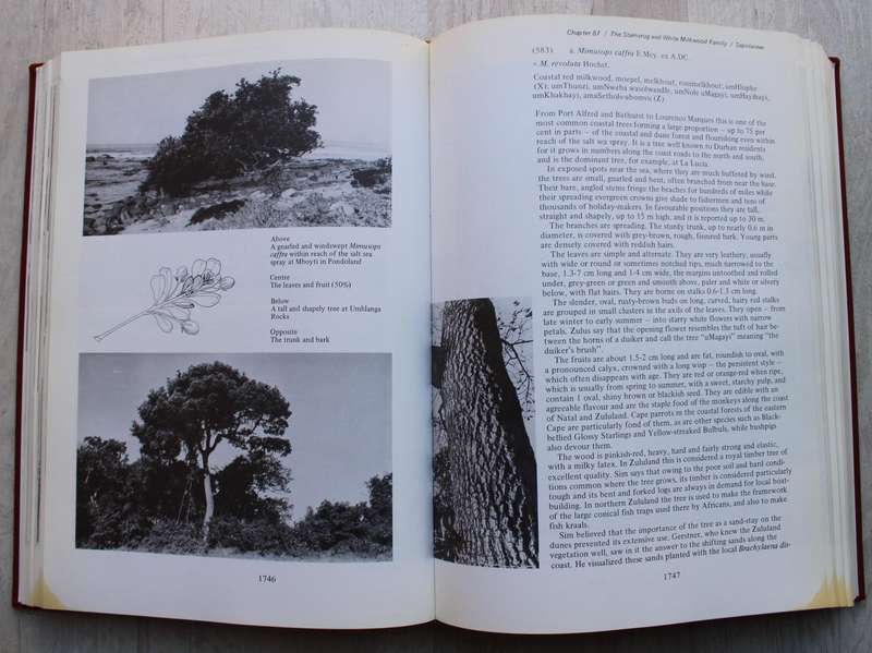 THREE VOLUME: TREES OF SOUTHERN AFRICA by Eve Palmer and Norah Pitman