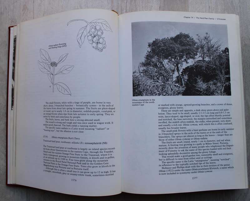 THREE VOLUME: TREES OF SOUTHERN AFRICA by Eve Palmer and Norah Pitman