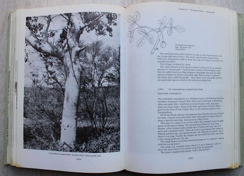 THREE VOLUME: TREES OF SOUTHERN AFRICA by Eve Palmer and Norah Pitman