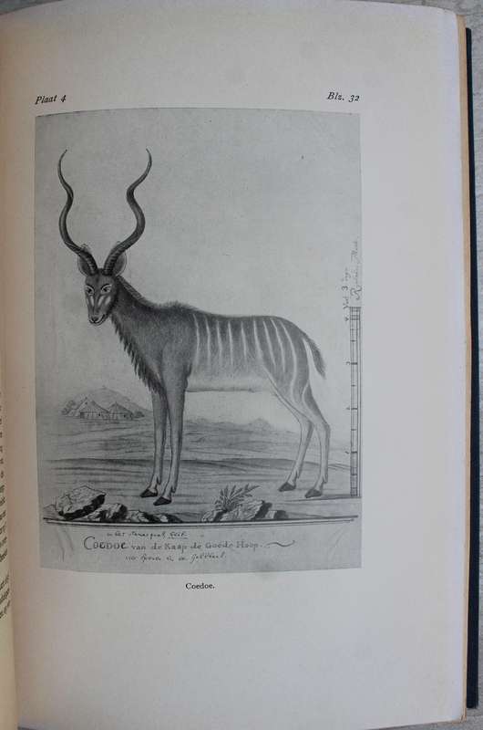 Godee Molsbergen (Dr. E. C.) REIZEN IN ZUID-AFRIKA in de Hollandse Tijd