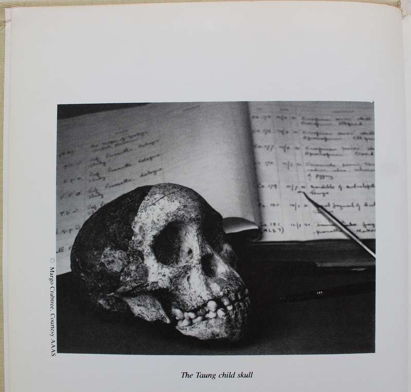 SIGNED: Homonid Evolution - Past, Present & Future / Phillip Tobias