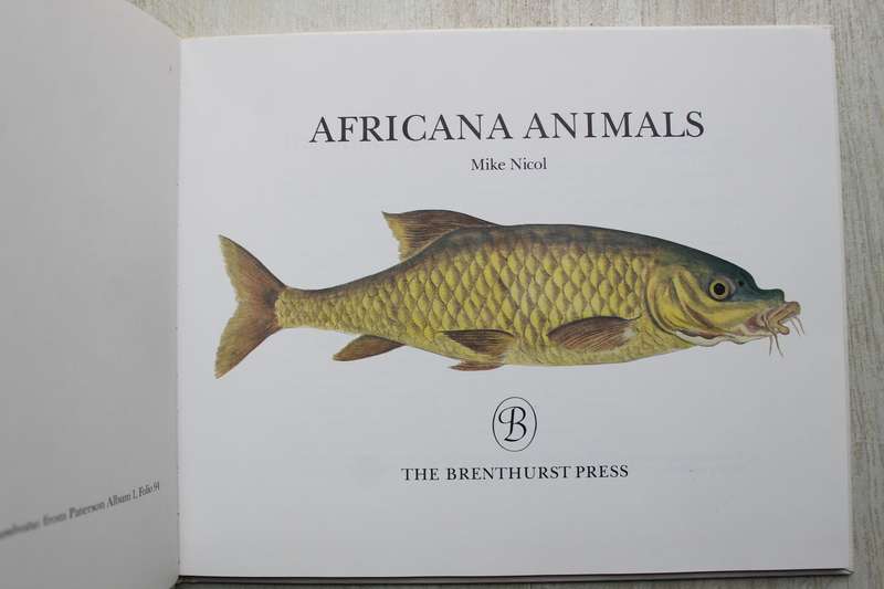 Africana Animals - Nicol