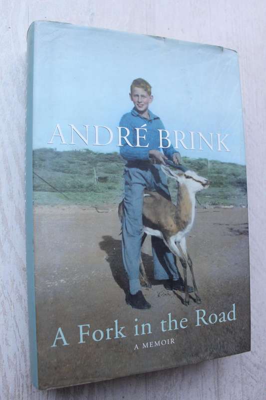 A Fork in the Road - Andre Brink