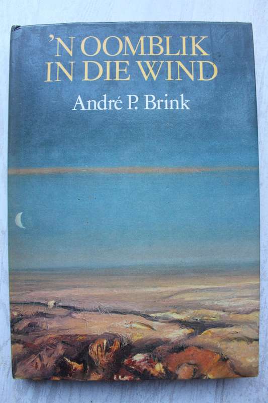 'n Oomblik in die wind - André P. Brink