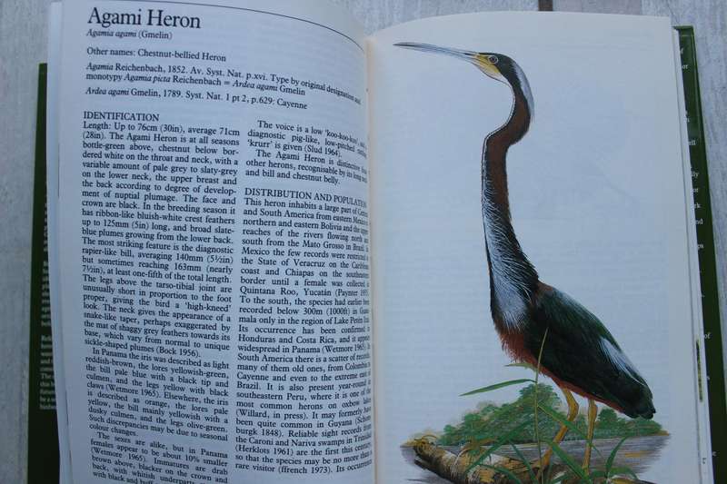 The Herons Handbook -  Hancock & Kushlan