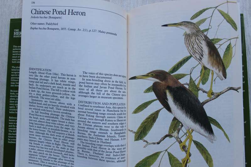 The Herons Handbook -  Hancock & Kushlan