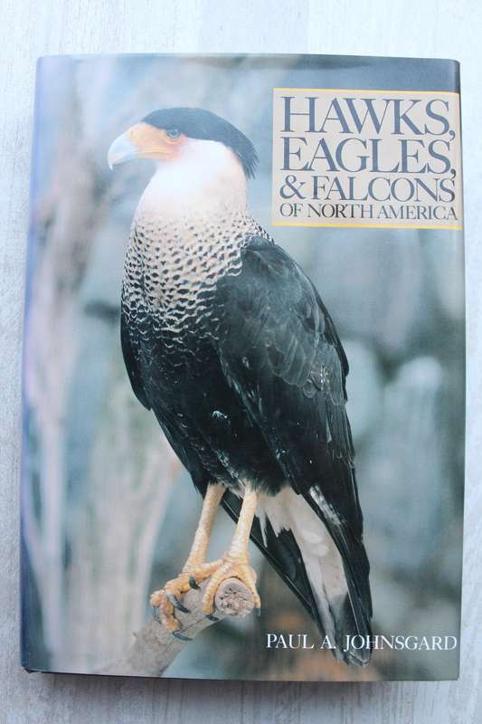 Hawks, Eagles and Falcons of North America - Johnsgard