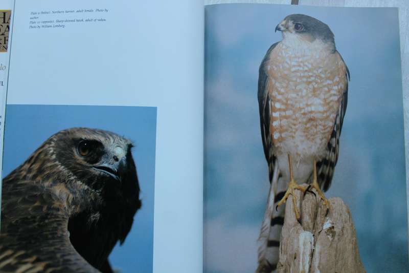 Hawks, Eagles and Falcons of North America - Johnsgard
