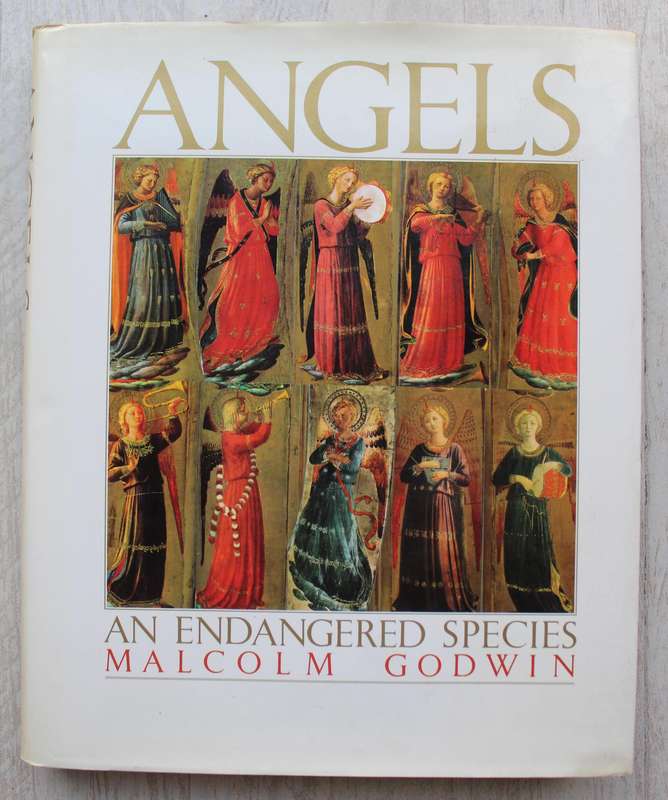 Angels - An Endangered species - Malcolm Godwin