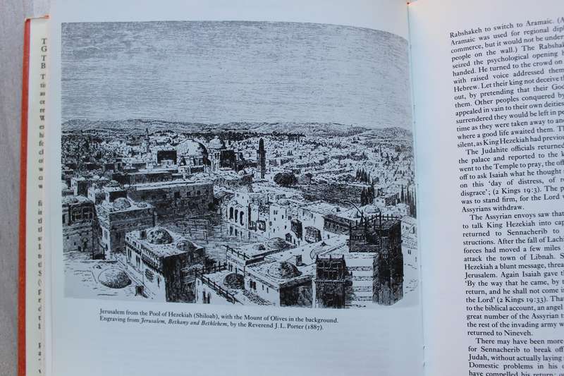The world's greatest story: The epic of the Jewish people in Biblical times / Comay
