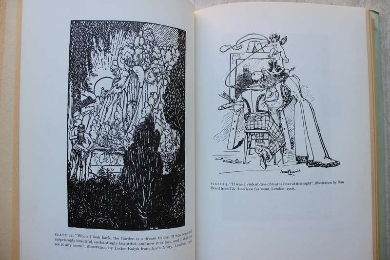 The Illustrated Mark Twain - Gasson