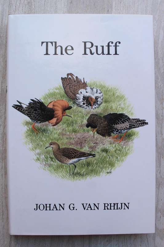 The Ruff - Johan van Rhijn