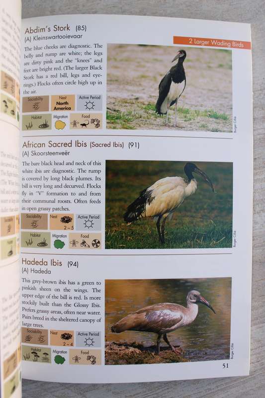 Animals of the Pilanesberg -  Cillie & Joubert & Oberprieler