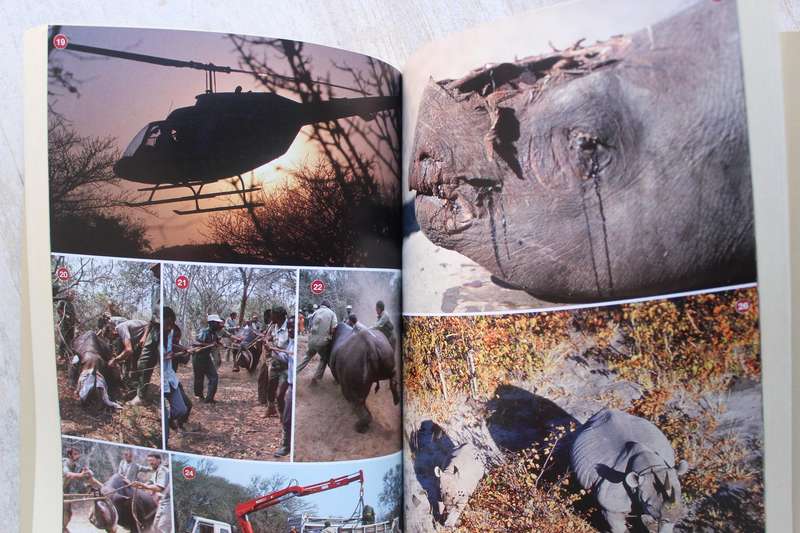 The Rhino Keepers: Struggle for Survival - Walker, Clive, Walker, Anton