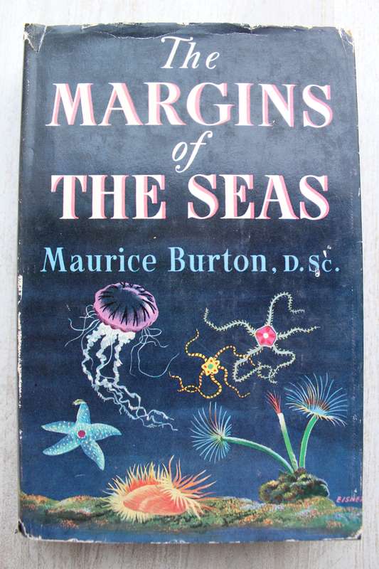 The Margins of the Seas - Maurice Burton