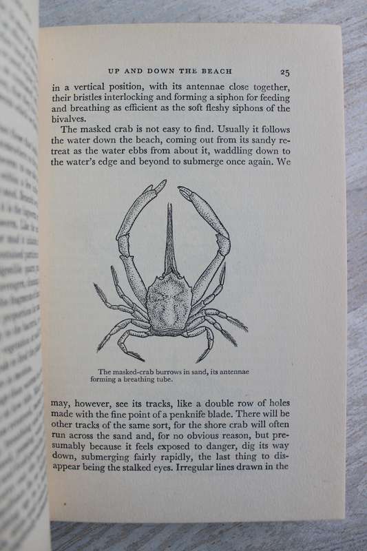 The Margins of the Seas - Maurice Burton