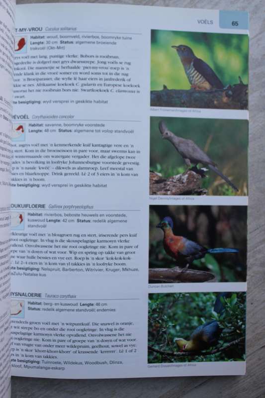 Natuurlewe van Suid-Afrika 'n Fotografiese Gids - Butchart