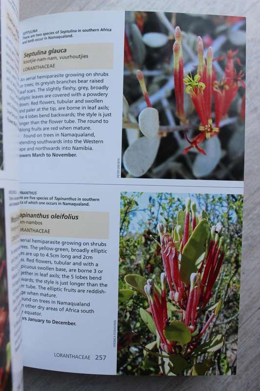 Wild flowers of Namaqualand - Le Roux / A Botanical Society Guide