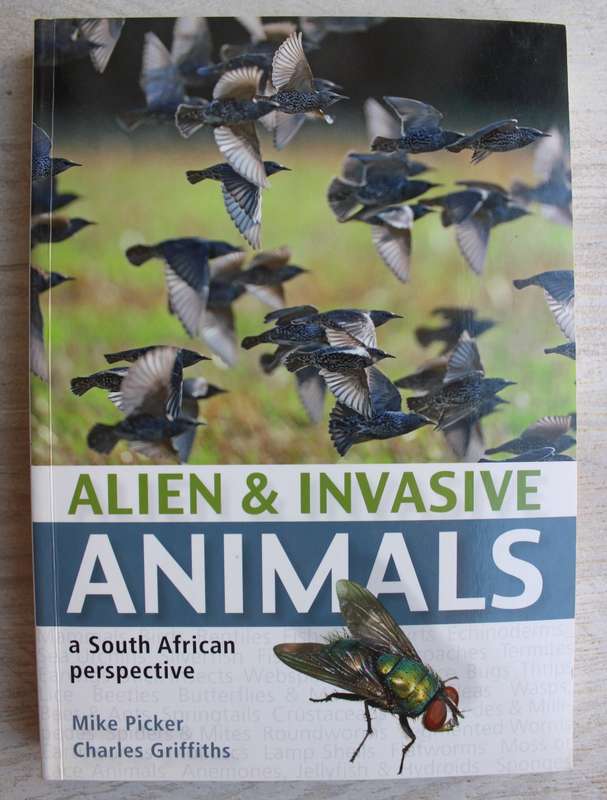 Alien & Invasive Animals - A South African Perspective - Picker & Griffiths